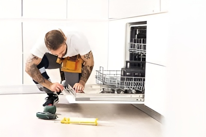 Dishwasher repair in Leisure City